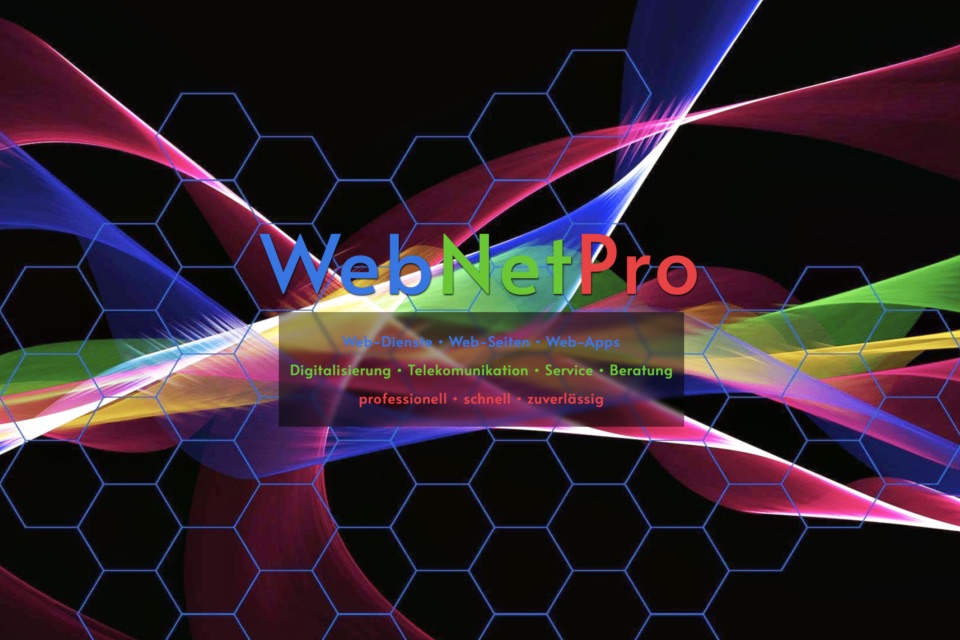 WebSeite - WebNetPro